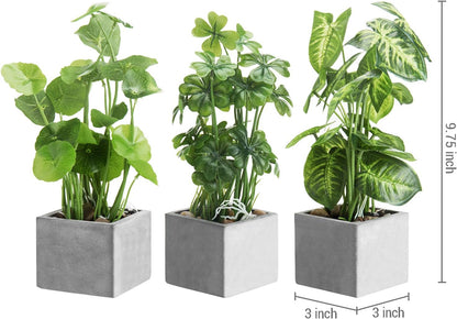 MyGift Artificial Rosemary Eucalyptus and Boxwood Plants Potted in Clear Glass Square Pots, Assorted Faux Greenery Indoor Home Table Centerpiece Office Desk Decor, 3 Piece Set