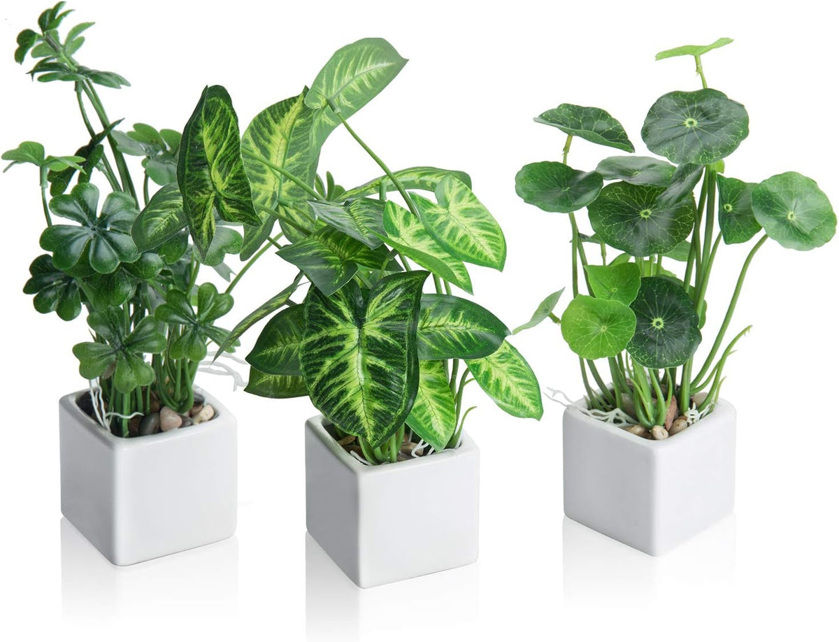 MyGift Artificial Rosemary Eucalyptus and Boxwood Plants Potted in Clear Glass Square Pots, Assorted Faux Greenery Indoor Home Table Centerpiece Office Desk Decor, 3 Piece Set