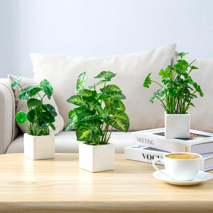 MyGift Artificial Rosemary Eucalyptus and Boxwood Plants Potted in Clear Glass Square Pots, Assorted Faux Greenery Indoor Home Table Centerpiece Office Desk Decor, 3 Piece Set