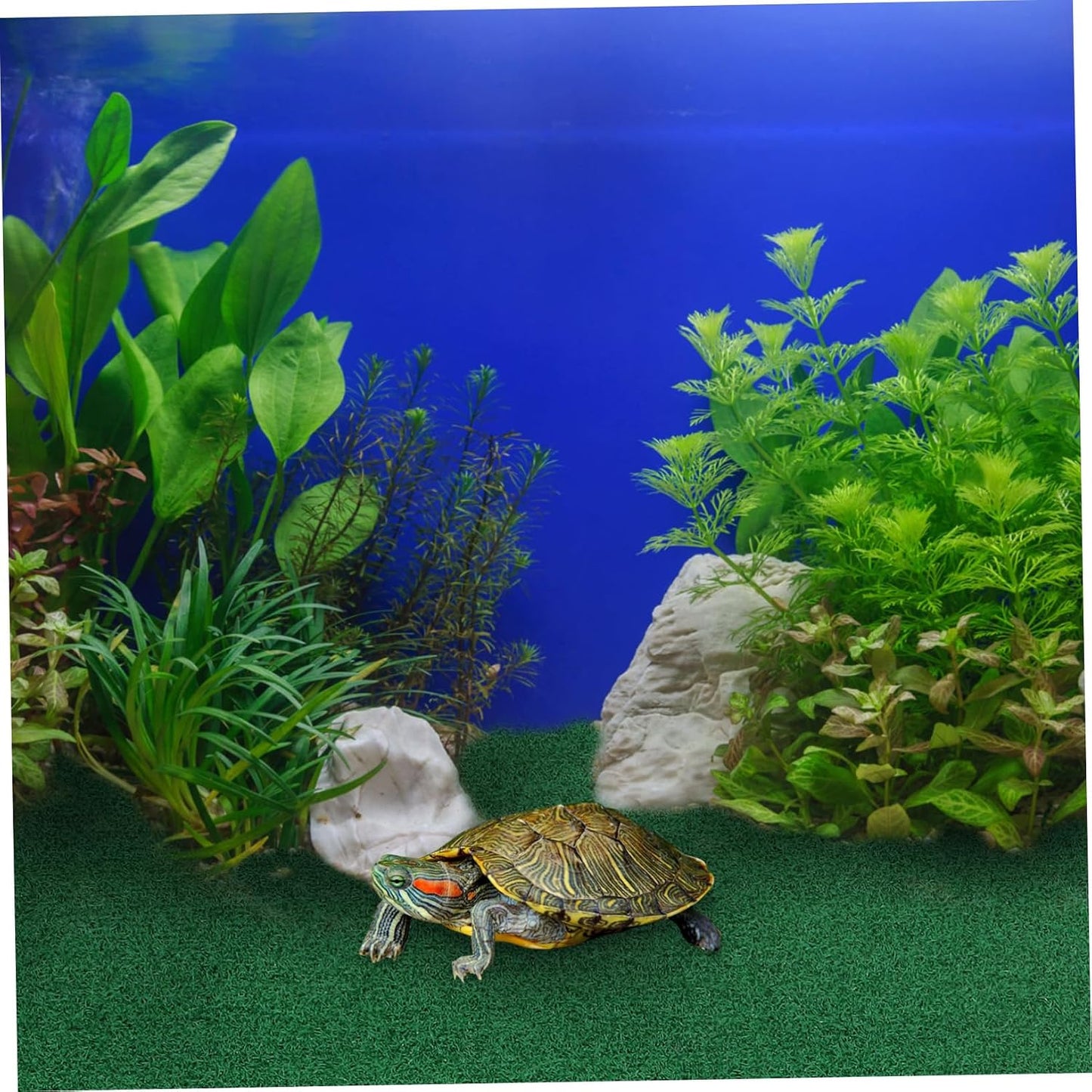 Artificial Aquatic Grass Mat Lightweight Synthetic Lawn Carpet for Turtle Basking Platform Durable Garden Turf for Indoor Outdoor Use for Reptiles and Pets