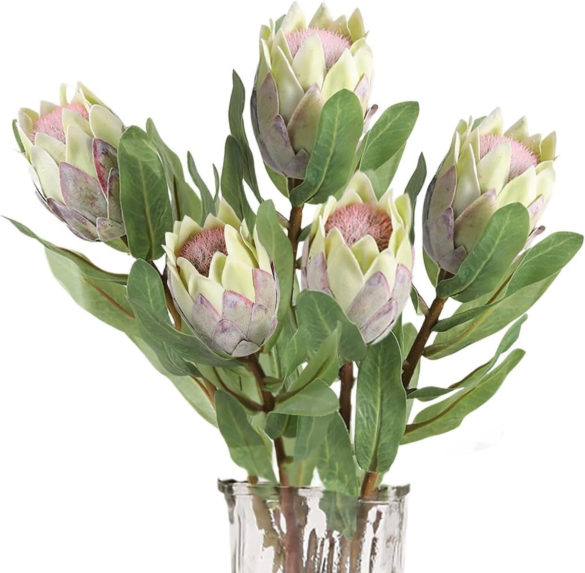 5 Pcs Artificial King Protea Flowers, Green Faux Protea Cynaroides Tropical Realistic King Protea Flower with Stem for Indoor Table Centerpiece Wedding Home Party Decoration