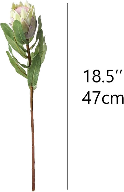 5 Pcs Artificial King Protea Flowers, Green Faux Protea Cynaroides Tropical Realistic King Protea Flower with Stem for Indoor Table Centerpiece Wedding Home Party Decoration