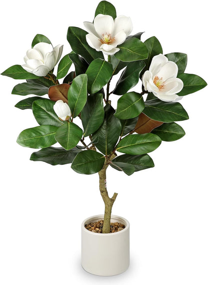 3 ft Artificial Magnolia Tree with White Flowers in Cream Pot