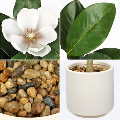 3 ft Artificial Magnolia Tree with White Flowers in Cream Pot