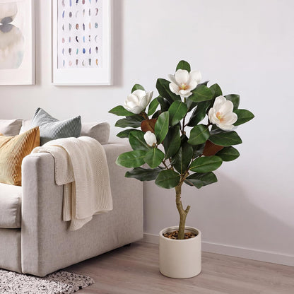 3 ft Artificial Magnolia Tree with White Flowers in Cream Pot