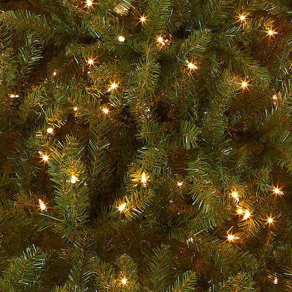 6 ft Pre-Lit Dunhill Fir Artificial Christmas Tree, 600 Warm White LED Lights, 1,430 Tips, Includes Stand, Green | 600 Clear Lights, 1,430 Tips, Includes Stand, Green