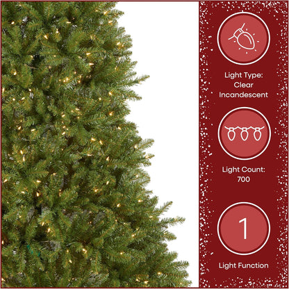 6 ft Pre-Lit Dunhill Fir Artificial Christmas Tree, 600 Warm White LED Lights, 1,430 Tips, Includes Stand, Green | 600 Clear Lights, 1,430 Tips, Includes Stand, Green
