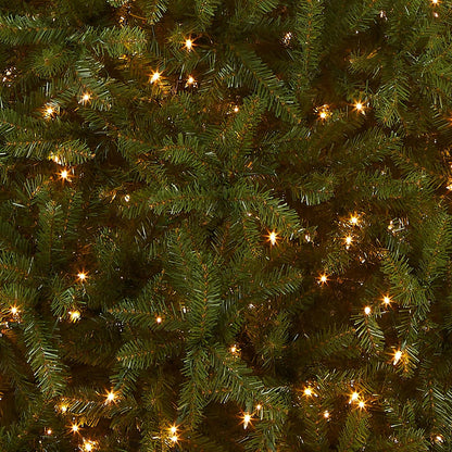 6 ft Pre-Lit Dunhill Fir Artificial Christmas Tree, 600 Warm White LED Lights, 1,430 Tips, Includes Stand, Green | 600 Clear Lights, 1,430 Tips, Includes Stand, Green
