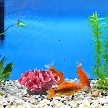 Aquarium Coral Reef Decor Artificial Coral Ornaments Fish Tank Decoration for Fresh and Saltwater Tanks 2.75X2.36X1.96 Inches Safe Polyester Resin
