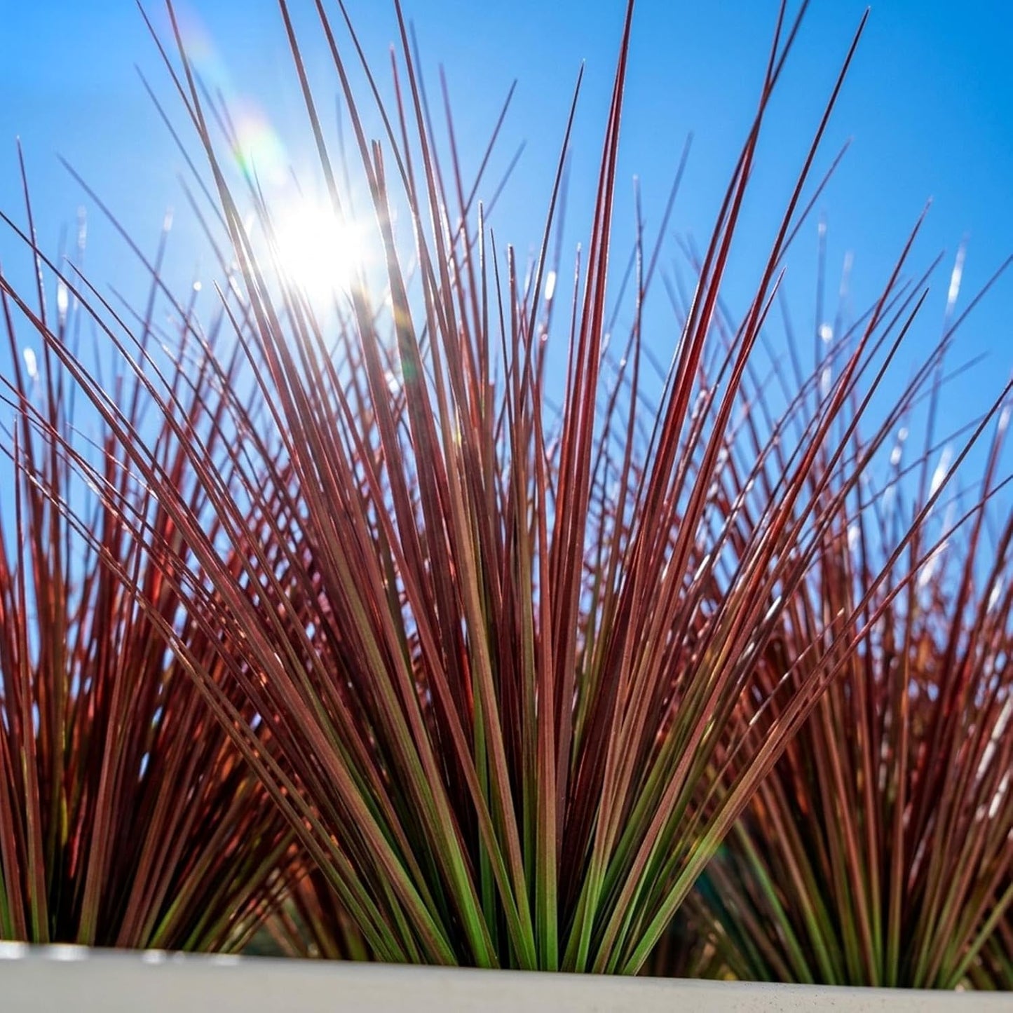 32 Bundles Artificial Plants Onion Grass Outdoor 20 Inch Tall Fake Shrubs Wheat Grass UV Resistant Greenery Stems Faux Bushes Plant for Indoor Outdoor Garden Office Home Decor, Green