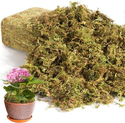 16 OZ Artificial Moss for Indoor Plants, Large Capacity Natural Fake Moss