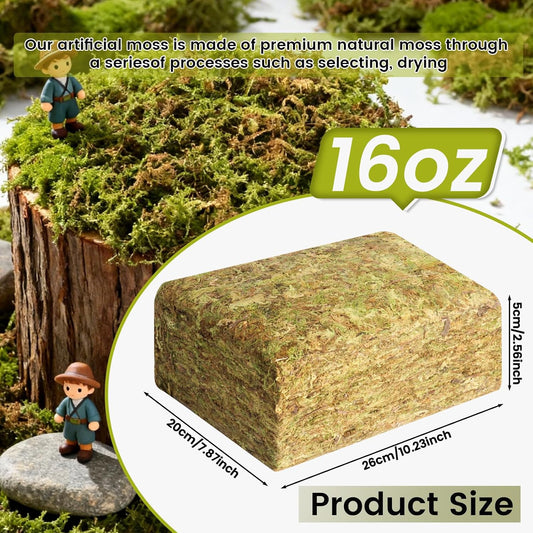 16 OZ Artificial Moss for Indoor Plants, Large Capacity Natural Fake Moss