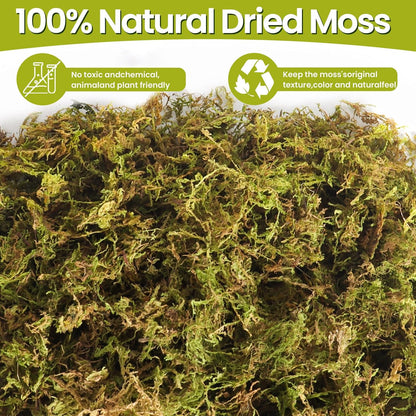 16 OZ Artificial Moss for Indoor Plants, Large Capacity Natural Fake Moss