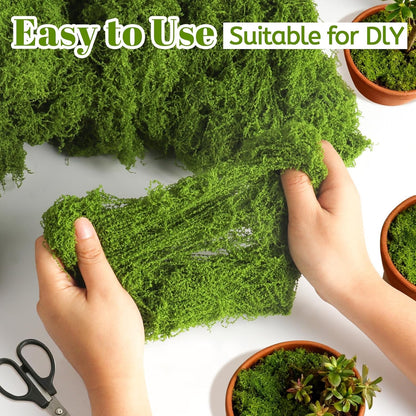 16 OZ Artificial Moss for Indoor Plants, Large Capacity Natural Fake Moss