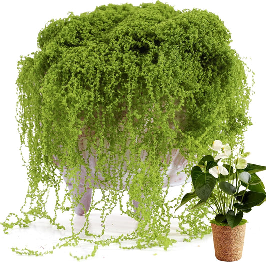Fake Moss for Potted Plants Indoor, 7OZ Green Moss for Crafts - Realistic Faux Moss Decor for DIY, Terrariums, Fairy Gardens & Table Centerpieces - Craft Moss for Home Decor (Natural Green)