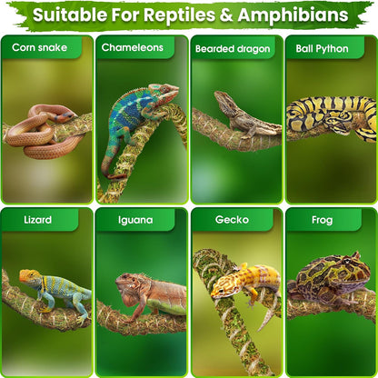 6.5FT Reptile Vines for Climbing, Bendable Branch for Reptile