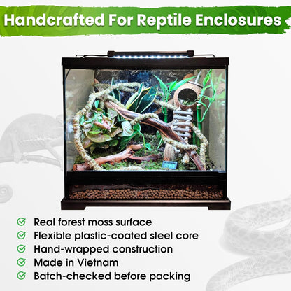 6.5FT Reptile Vines for Climbing, Bendable Branch for Reptile