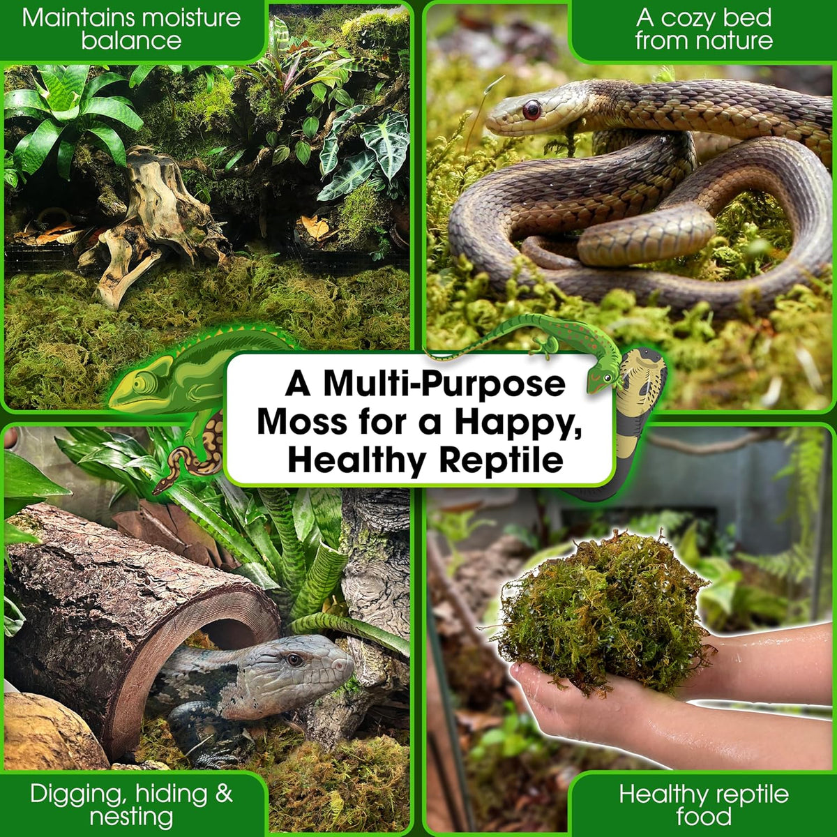 6.5FT Reptile Vines for Climbing, Bendable Branch for Reptile