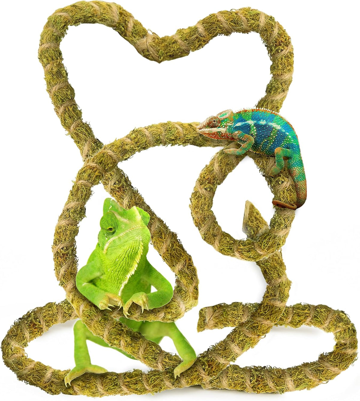 6.5FT Reptile Vines for Climbing, Bendable Branch for Reptile