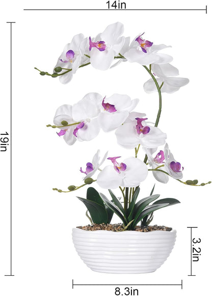 Large Silk Orchid in Wave Pot 19" Phalaenopsis Centerpiece for Table, White