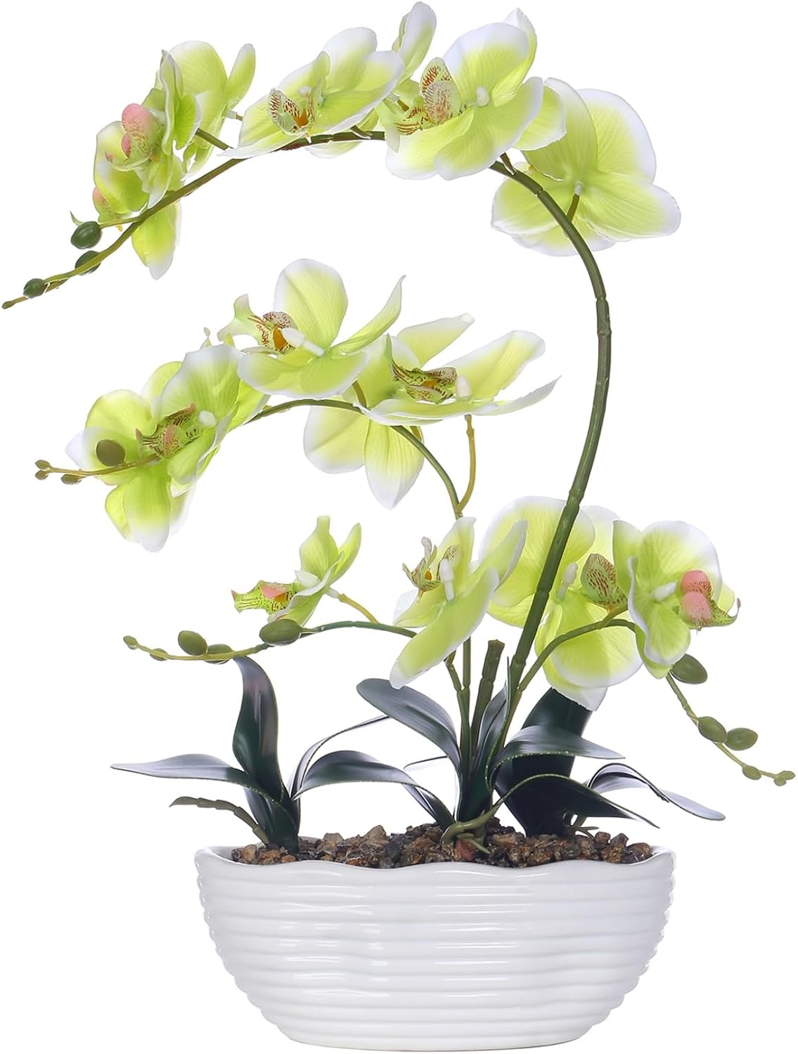 Large Silk Orchid in Wave Pot 19" Phalaenopsis Centerpiece for Table, White
