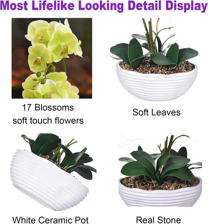 Large Silk Orchid in Wave Pot 19" Phalaenopsis Centerpiece for Table, White