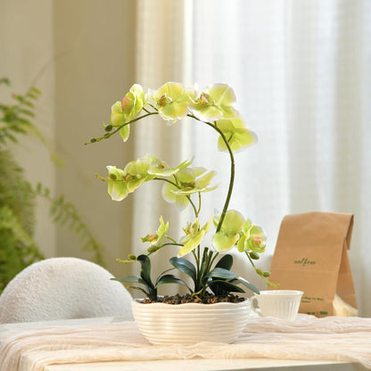 Large Silk Orchid in Wave Pot 19" Phalaenopsis Centerpiece for Table, White