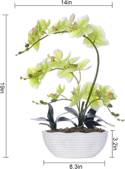 Large Silk Orchid in Wave Pot 19" Phalaenopsis Centerpiece for Table, White