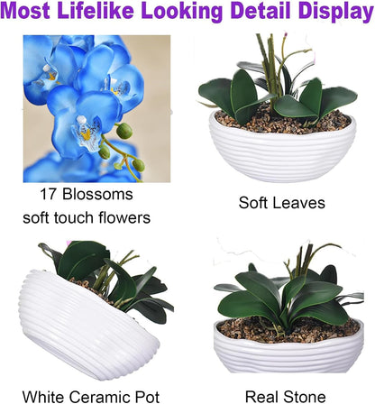 Large Silk Orchid in Wave Pot 19" Phalaenopsis Centerpiece for Table, White