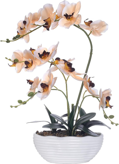 Large Silk Orchid in Wave Pot 19" Phalaenopsis Centerpiece for Table, White
