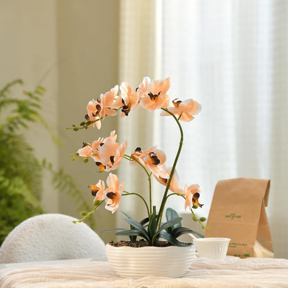 Large Silk Orchid in Wave Pot 19" Phalaenopsis Centerpiece for Table, White