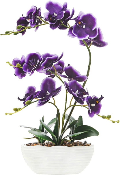 Large Silk Orchid in Wave Pot 19" Phalaenopsis Centerpiece for Table, White