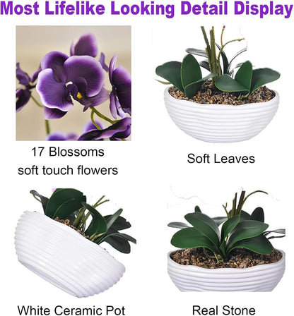 Large Silk Orchid in Wave Pot 19" Phalaenopsis Centerpiece for Table, White
