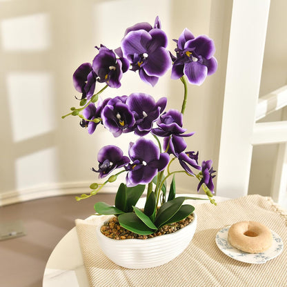 Large Silk Orchid in Wave Pot 19" Phalaenopsis Centerpiece for Table, White