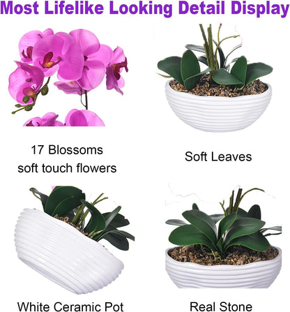 Large Silk Orchid in Wave Pot 19" Phalaenopsis Centerpiece for Table, White
