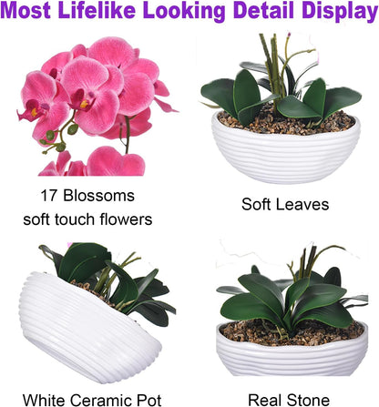 Large Silk Orchid in Wave Pot 19" Phalaenopsis Centerpiece for Table, White