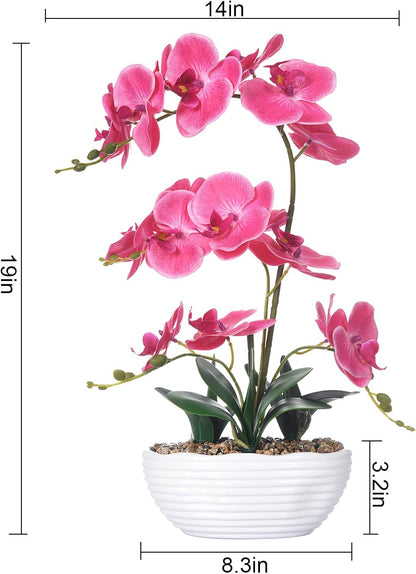 Large Silk Orchid in Wave Pot 19" Phalaenopsis Centerpiece for Table, White