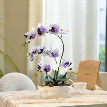 Large Silk Orchid in Wave Pot 19" Phalaenopsis Centerpiece for Table, White