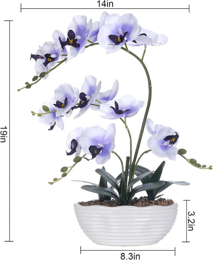 Large Silk Orchid in Wave Pot 19" Phalaenopsis Centerpiece for Table, White