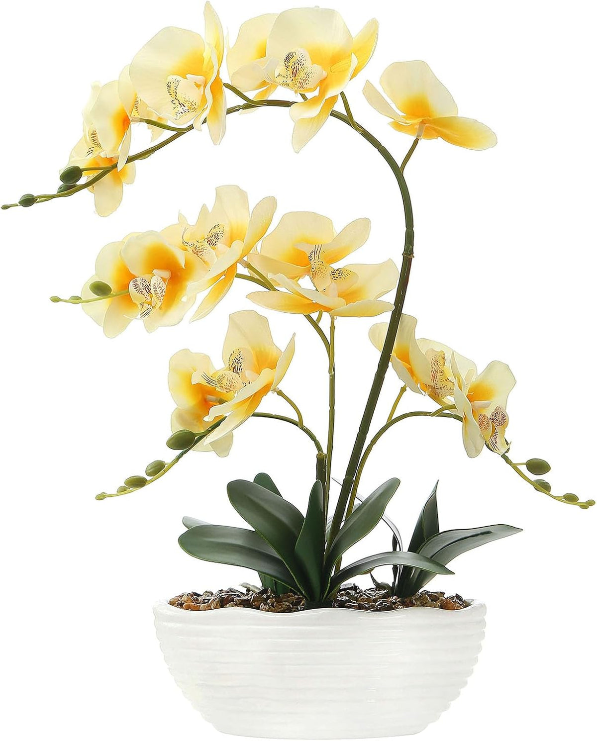 Large Silk Orchid in Wave Pot 19" Phalaenopsis Centerpiece for Table, White
