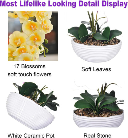Large Silk Orchid in Wave Pot 19" Phalaenopsis Centerpiece for Table, White