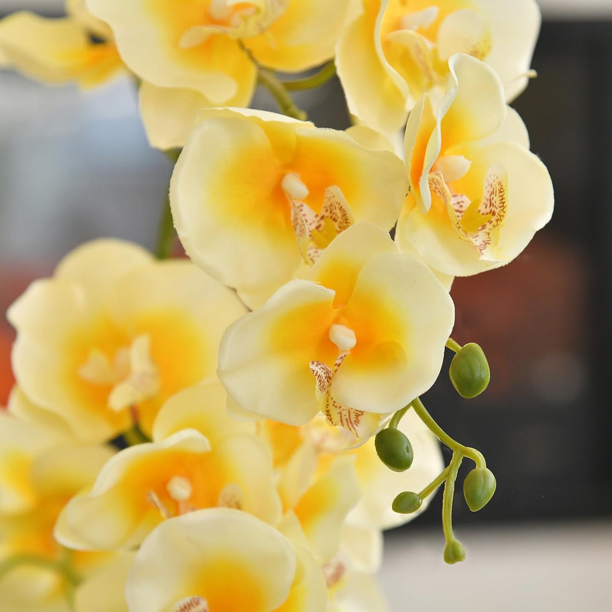 Large Silk Orchid in Wave Pot 19" Phalaenopsis Centerpiece for Table, White