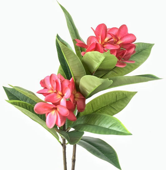 35.5 Inch Artificial Frangipani Flower 2 Pack Lifelike Real Touch Artificial Plumeria Flowers,for Home Vase Garden Decoration Party Wedding Bouquet (Red)