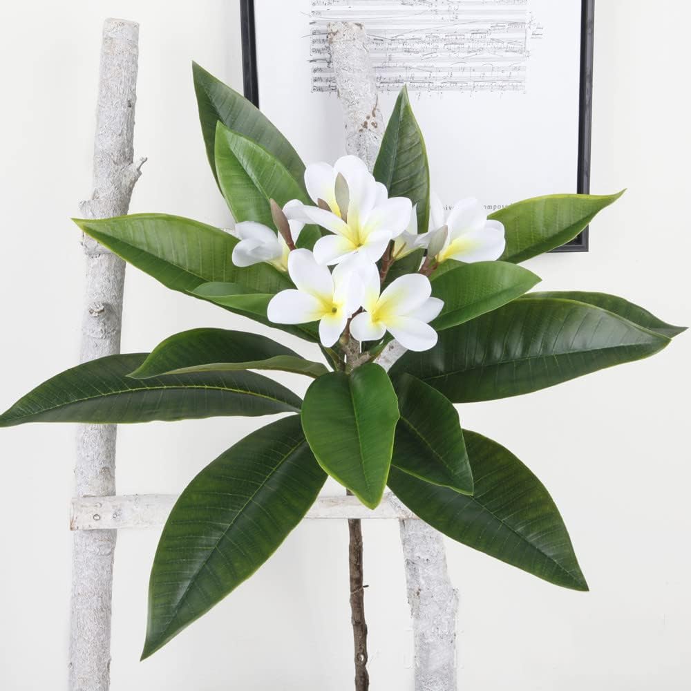 35.5 Inch Artificial Frangipani Flower 2 Pack Lifelike Real Touch Artificial Plumeria Flowers,for Home Vase Garden Decoration Party Wedding Bouquet (Red)