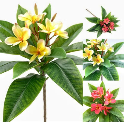35.5 Inch Artificial Frangipani Flower 2 Pack Lifelike Real Touch Artificial Plumeria Flowers,for Home Vase Garden Decoration Party Wedding Bouquet (Red)