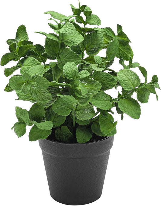 Small Fake Plants Mint Artificial Potted Plants,Green