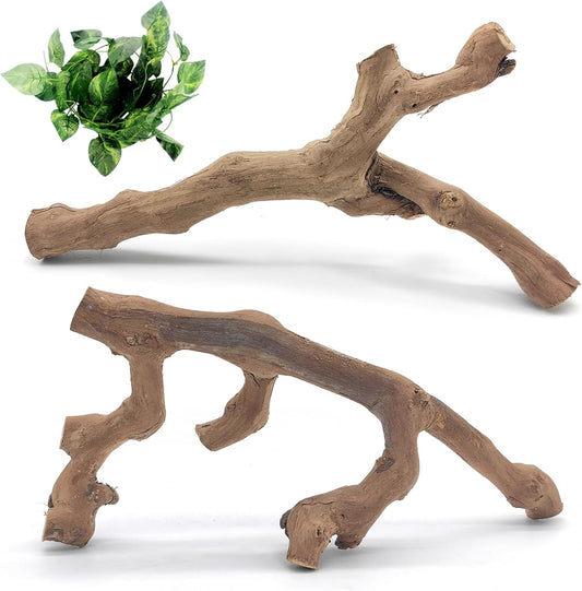 Snake Climbing Branch, 2Pcs Reptile Wood Natural Cork Log Tank Accessories Tree Trunk for Chameleon Bearded Dragon Gecko Snake Frog Spider