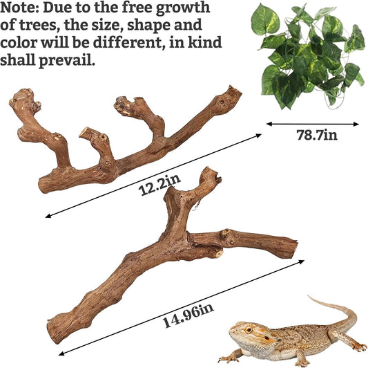 Snake Climbing Branch, 2Pcs Reptile Wood Natural Cork Log Tank Accessories Tree Trunk for Chameleon Bearded Dragon Gecko Snake Frog Spider