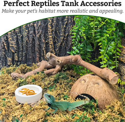 Snake Climbing Branch, 2Pcs Reptile Wood Natural Cork Log Tank Accessories Tree Trunk for Chameleon Bearded Dragon Gecko Snake Frog Spider