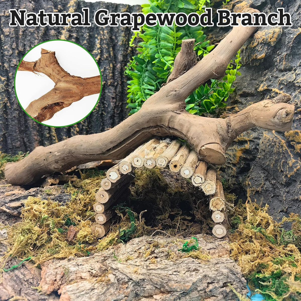 Snake Climbing Branch, 2Pcs Reptile Wood Natural Cork Log Tank Accessories Tree Trunk for Chameleon Bearded Dragon Gecko Snake Frog Spider